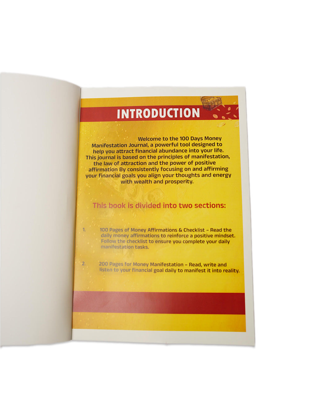 100 DAY MONEY MANIFESTATION JOURNAL
