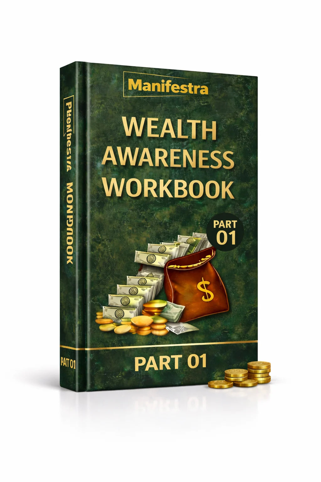 100-Day Money Manifestation Journal
